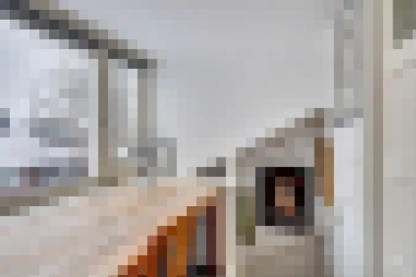 Jacob van Campenstraat 7 Heemstede thumbnail 25