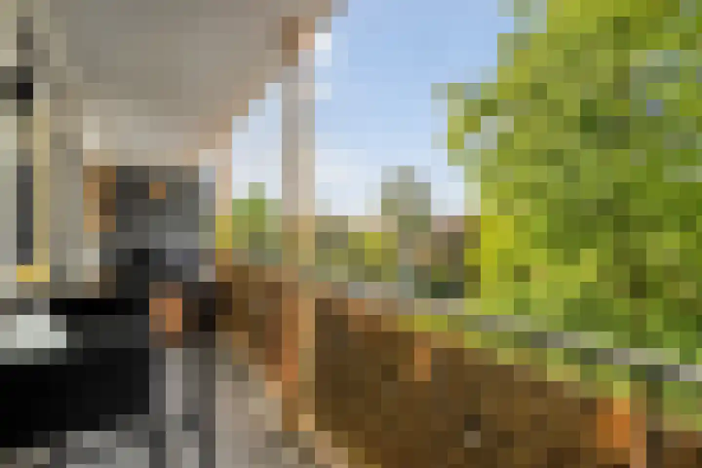 Jacob van Campenstraat 9 Almelo thumbnail 4