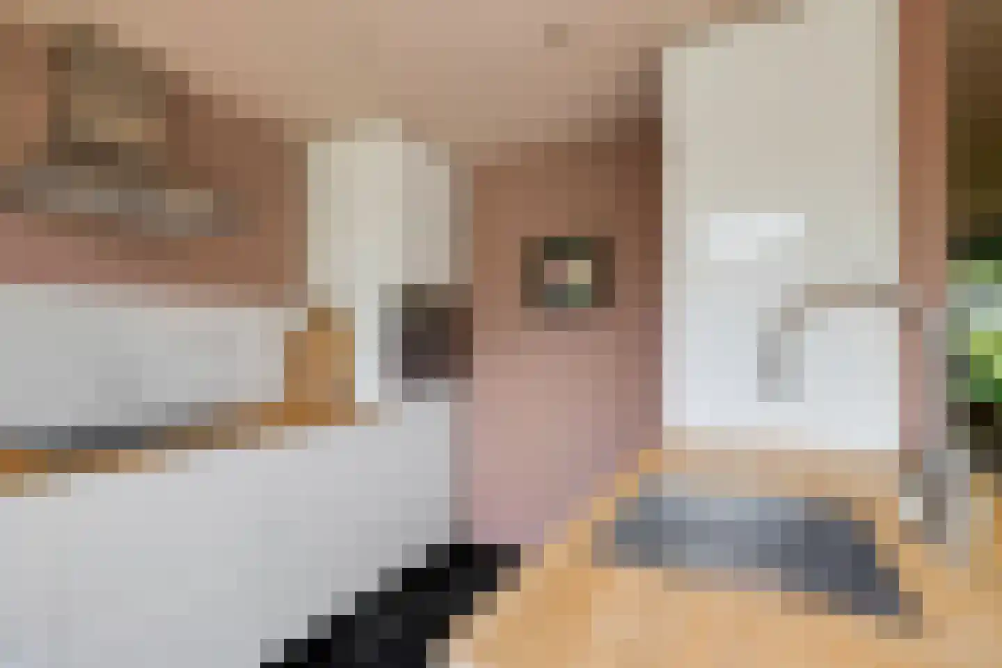 Jacob van Campenweg 110 Rotterdam thumbnail 11