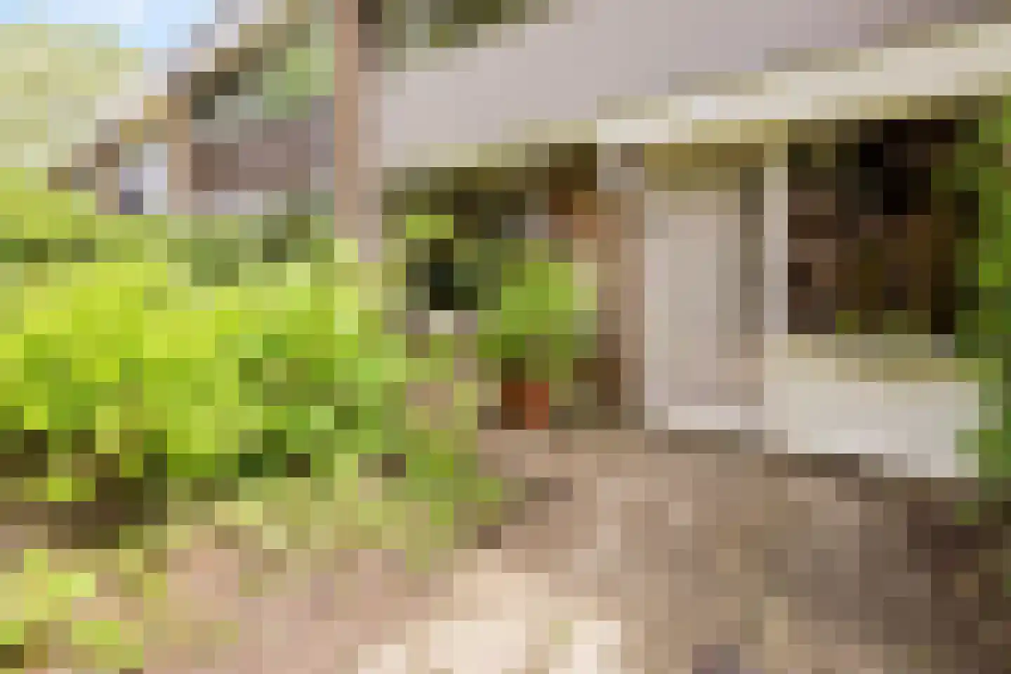 Jacob van Campenweg 110 Rotterdam thumbnail 5