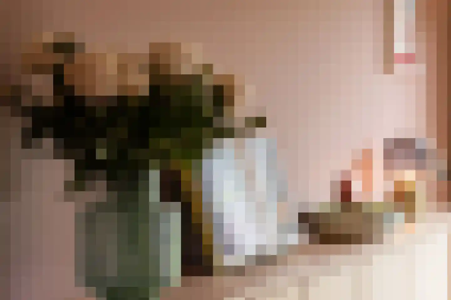 Jacob van Campenweg 110 Rotterdam thumbnail 8