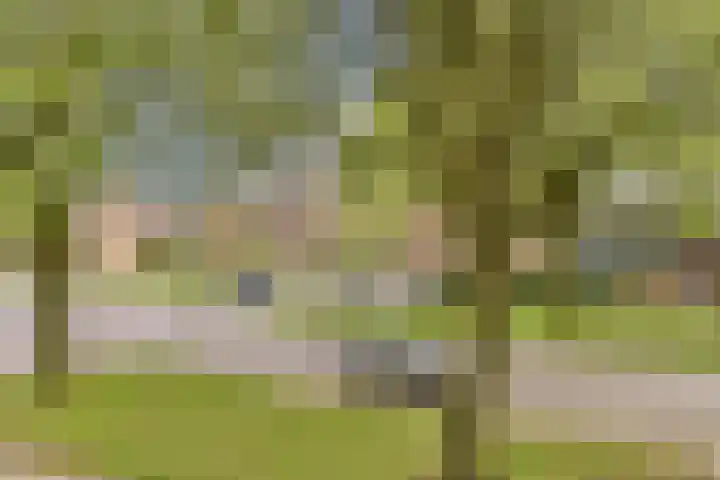 Jacob van Campenweg 21 Rotterdam thumbnail 18