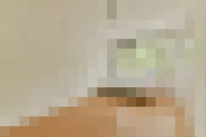 Jacob van Campenweg 21 Rotterdam thumbnail 21
