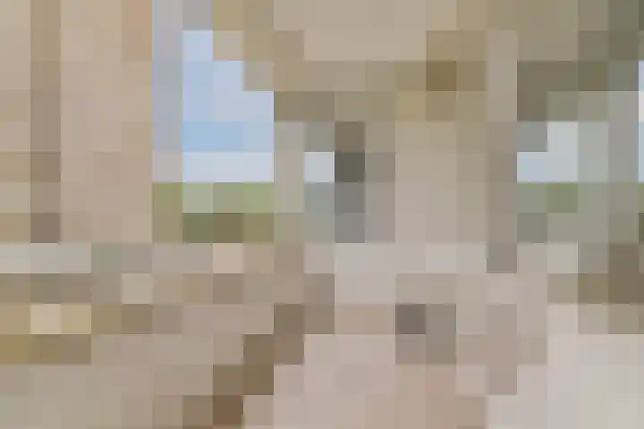 Jacob van Campenweg 21 Rotterdam thumbnail 28