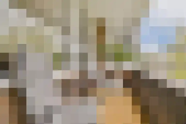 Jacob van Campenweg 37 Rotterdam thumbnail 11