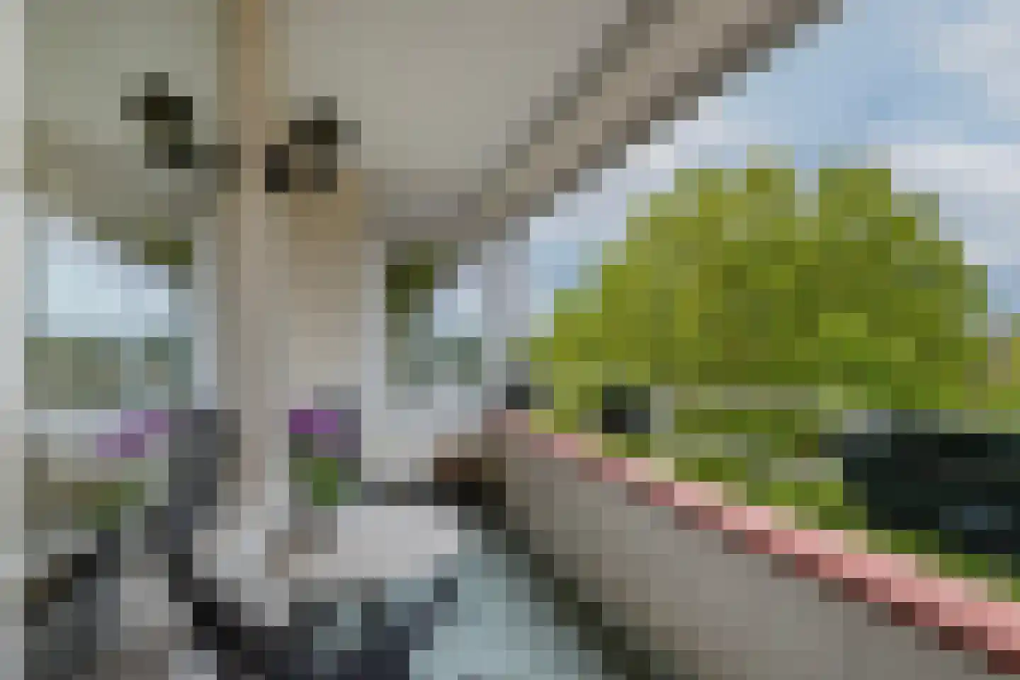 Jacob van Campenweg 39 Rotterdam thumbnail 20