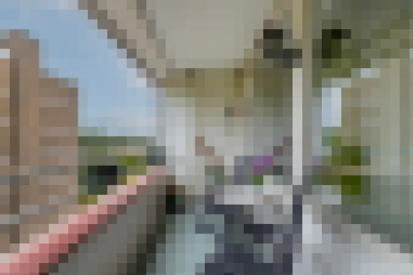 Jacob van Campenweg 39 Rotterdam thumbnail 21