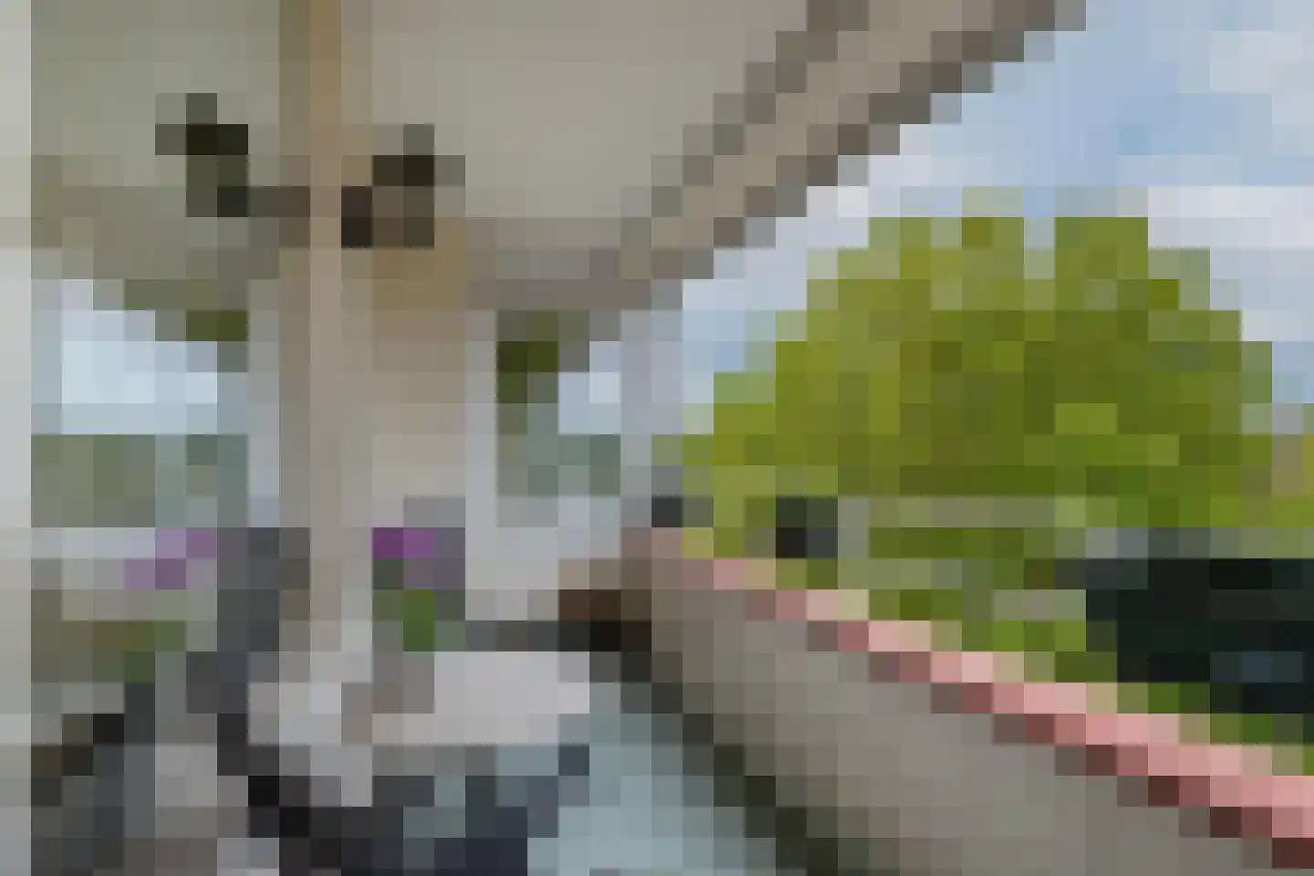 Jacob van Campenweg 39 Rotterdam thumbnail 5