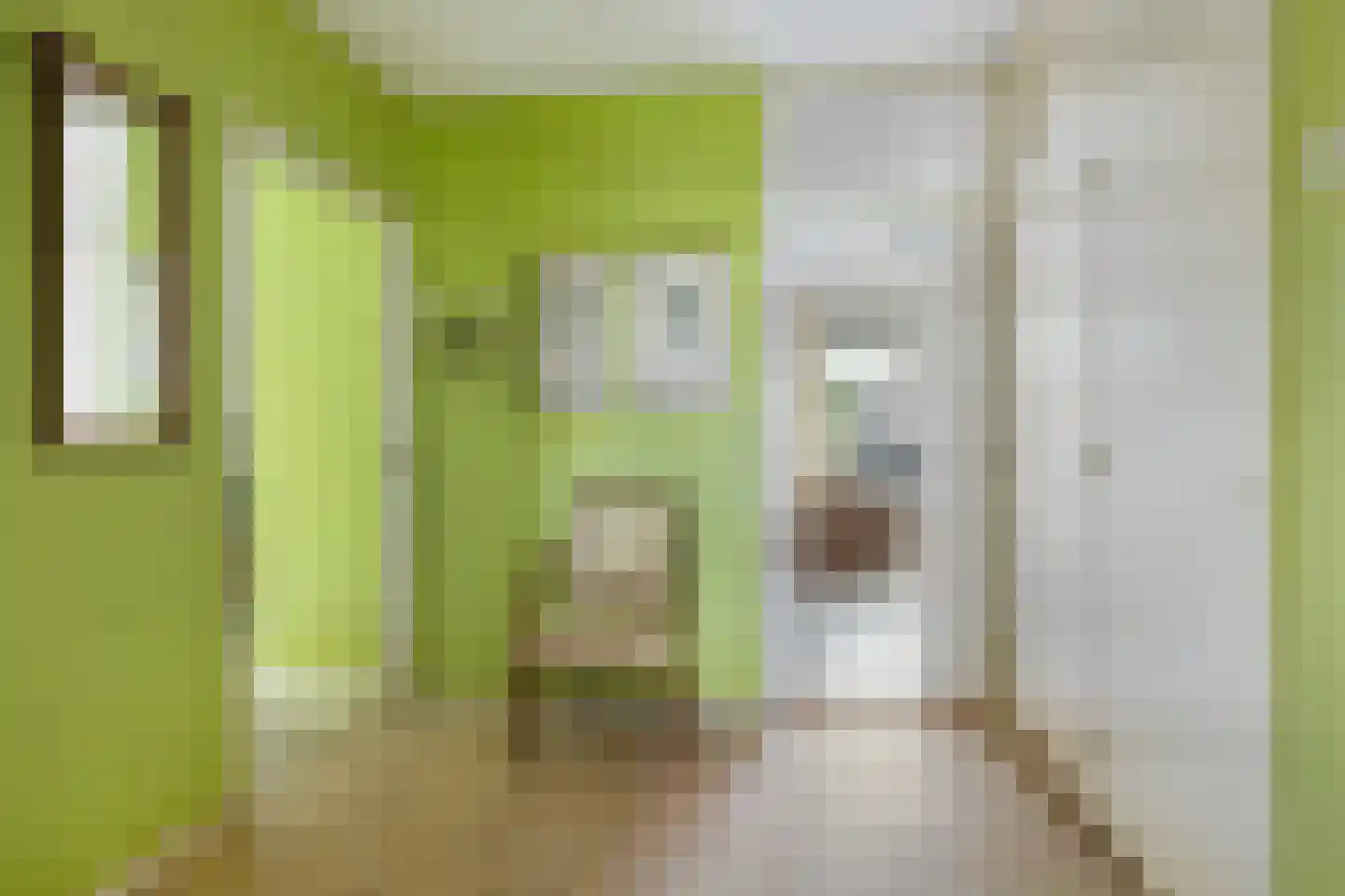 Jacob van Campenweg 39 Rotterdam thumbnail 7