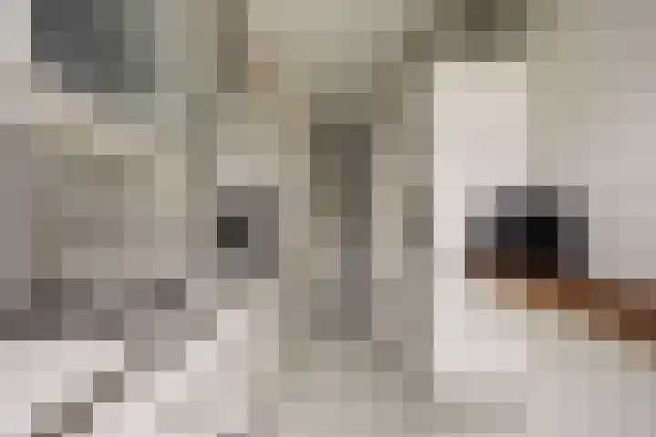 Jacob van Campenweg 4 Rotterdam thumbnail 13