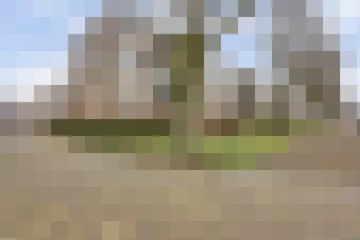 Jacob van Campenweg 4 Rotterdam thumbnail 4
