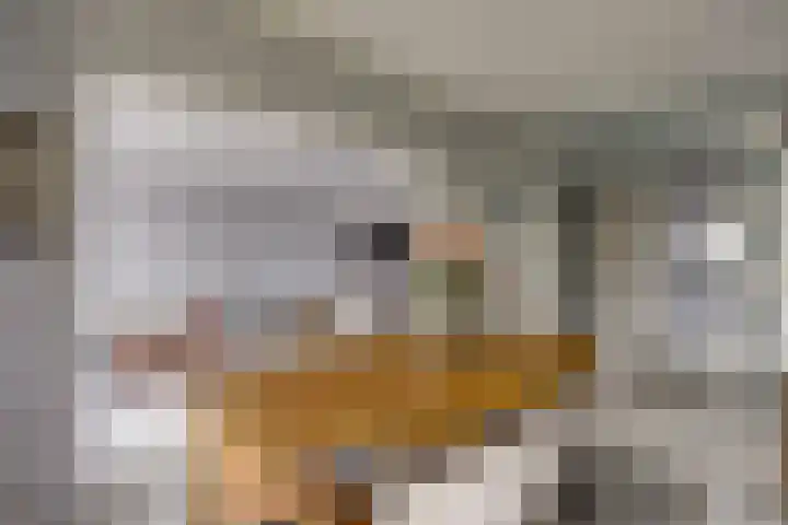 Jacob van Campenweg 4 Rotterdam thumbnail 8