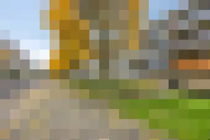 Jacob van Campenweg 52 Rotterdam thumbnail 16