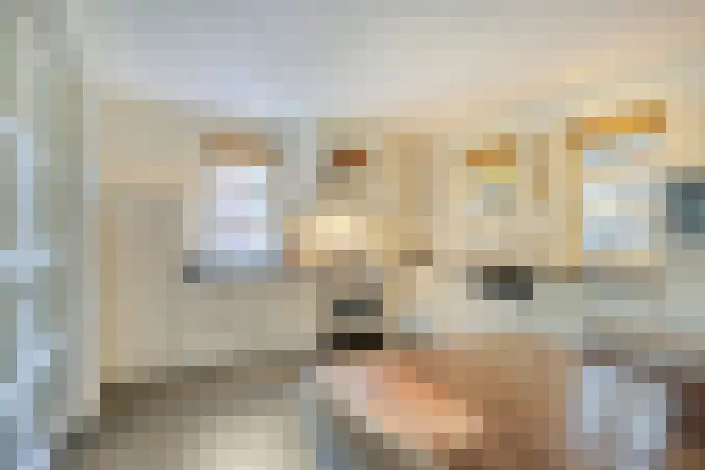 Jacob van Campenweg 57 Eindhoven thumbnail 11