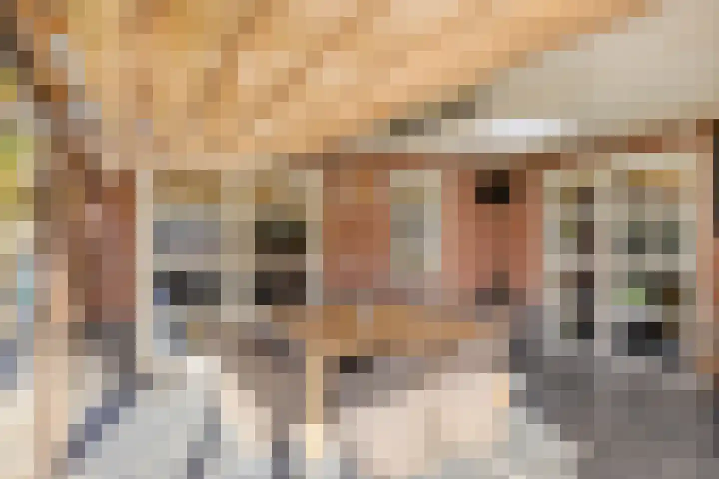 Jacob van Campenweg 57 Eindhoven thumbnail 41