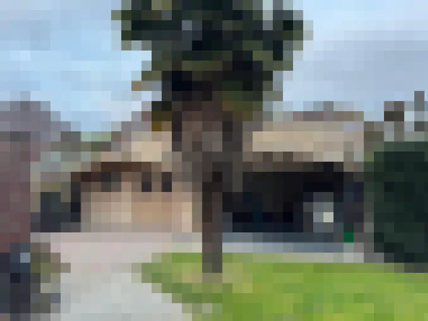 Jacob van Campenweg 57 Eindhoven thumbnail 44