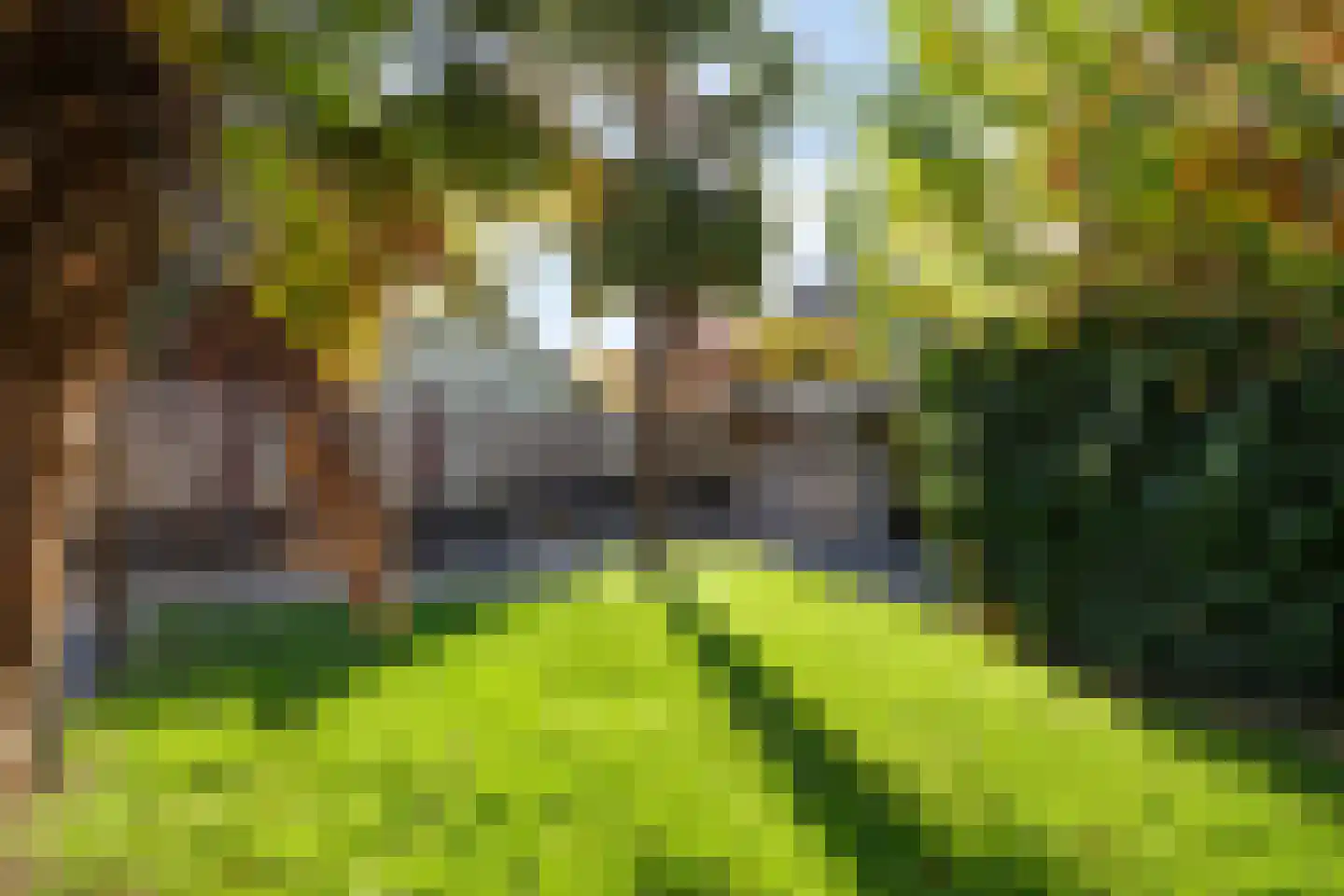 Jacob van Campenweg 57 Eindhoven thumbnail 47