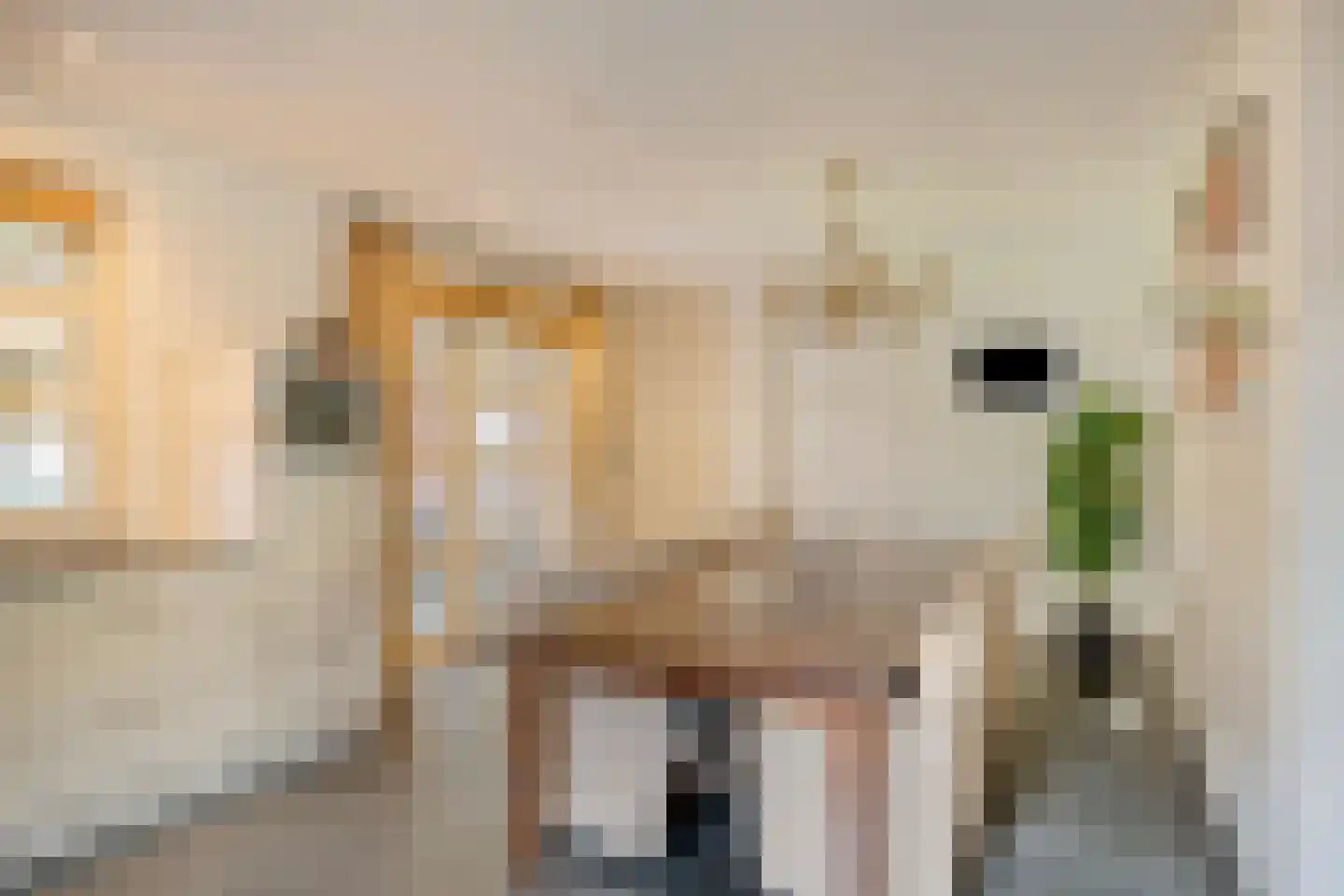 Jacob van Campenweg 57 Eindhoven thumbnail 9