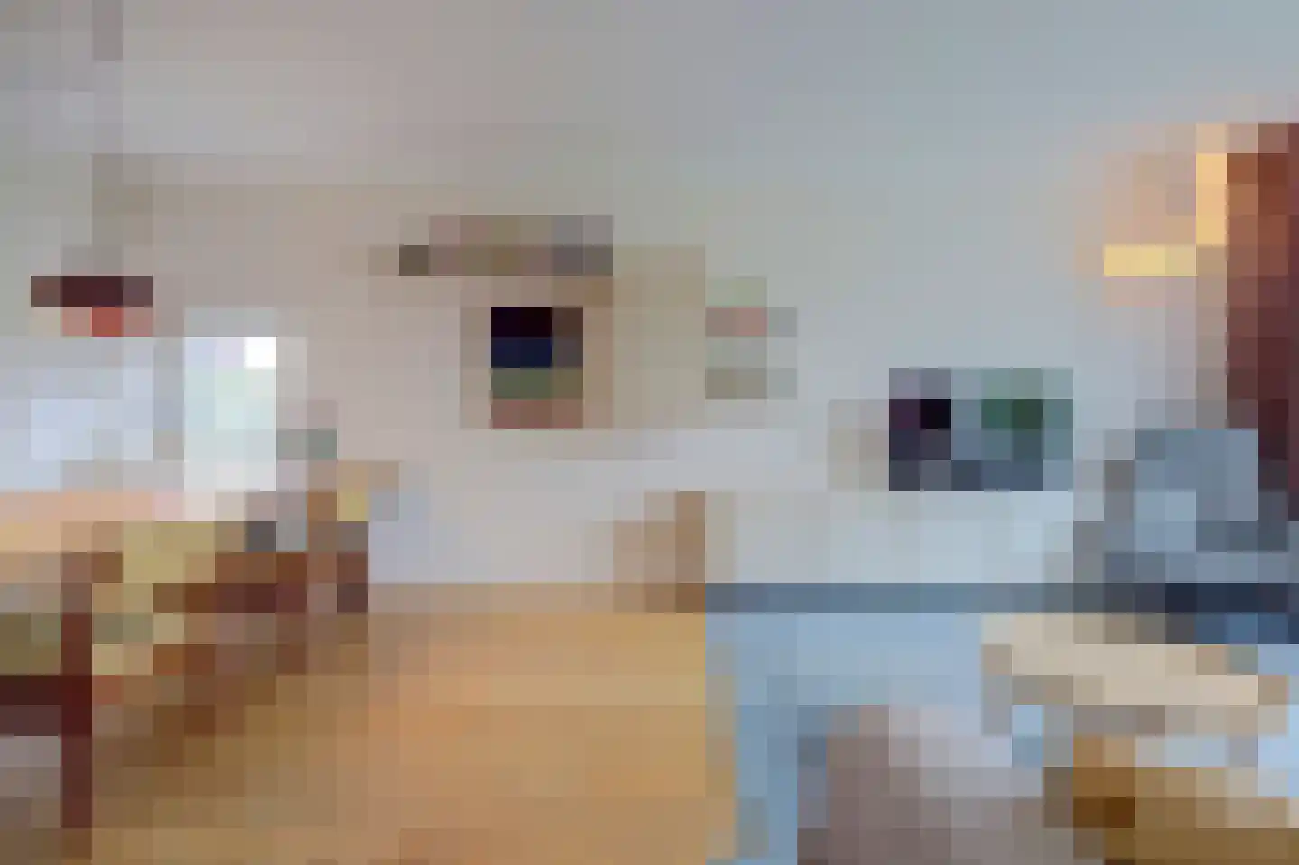Jacob van Campenweg 77 Rotterdam thumbnail 9