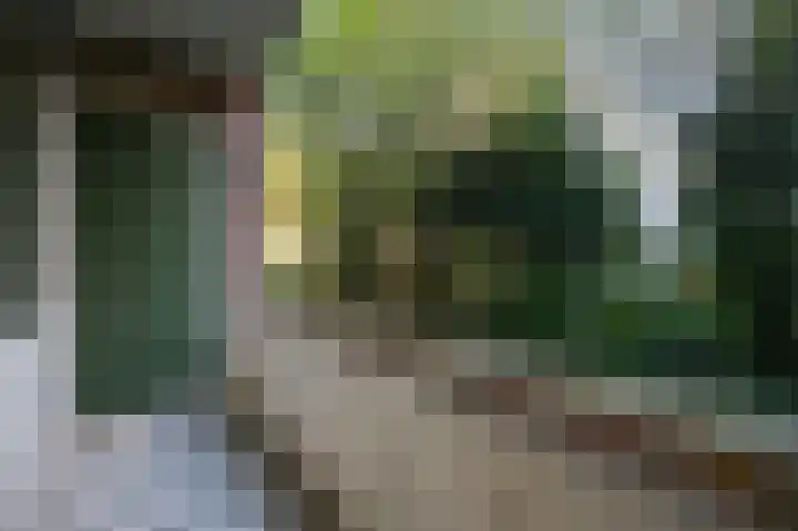 Jacob van den Eyndestraat 13 Voorburg thumbnail 21