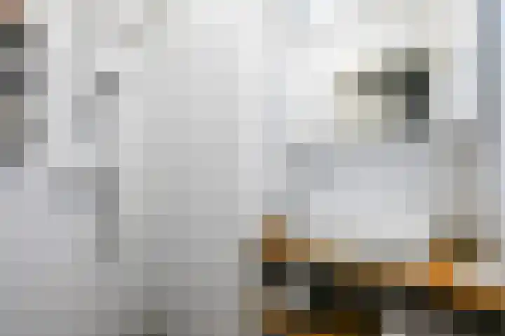 Jacob van den Eyndestraat 13 Voorburg thumbnail 23