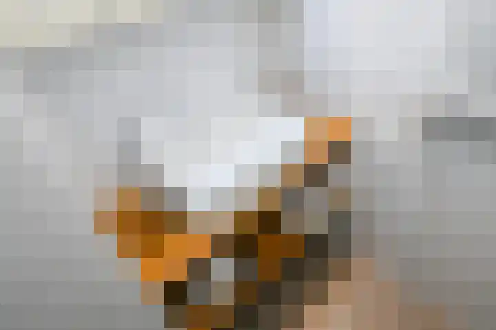 Jacob van den Eyndestraat 13 Voorburg thumbnail 25