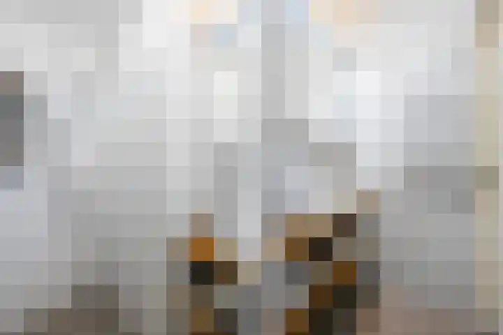 Jacob van den Eyndestraat 13 Voorburg thumbnail 26