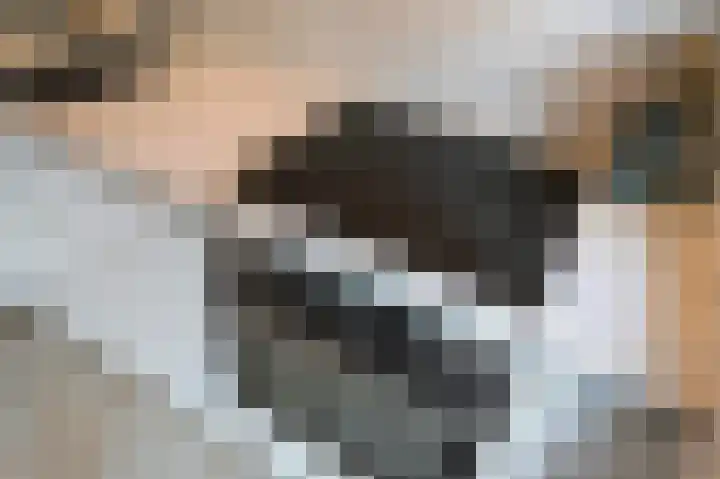 Jacob van den Eyndestraat 13 Voorburg thumbnail 7