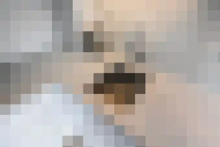 Jacob van den Eyndestraat 13 Voorburg thumbnail 8