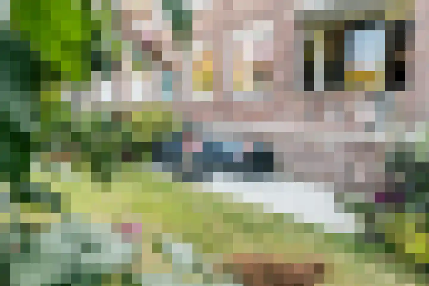Jacob van den Eyndestraat 49 Voorburg thumbnail 16