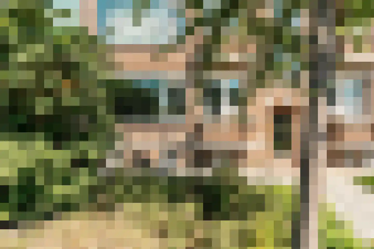 Jacob van den Eyndestraat 49 Voorburg foto 2