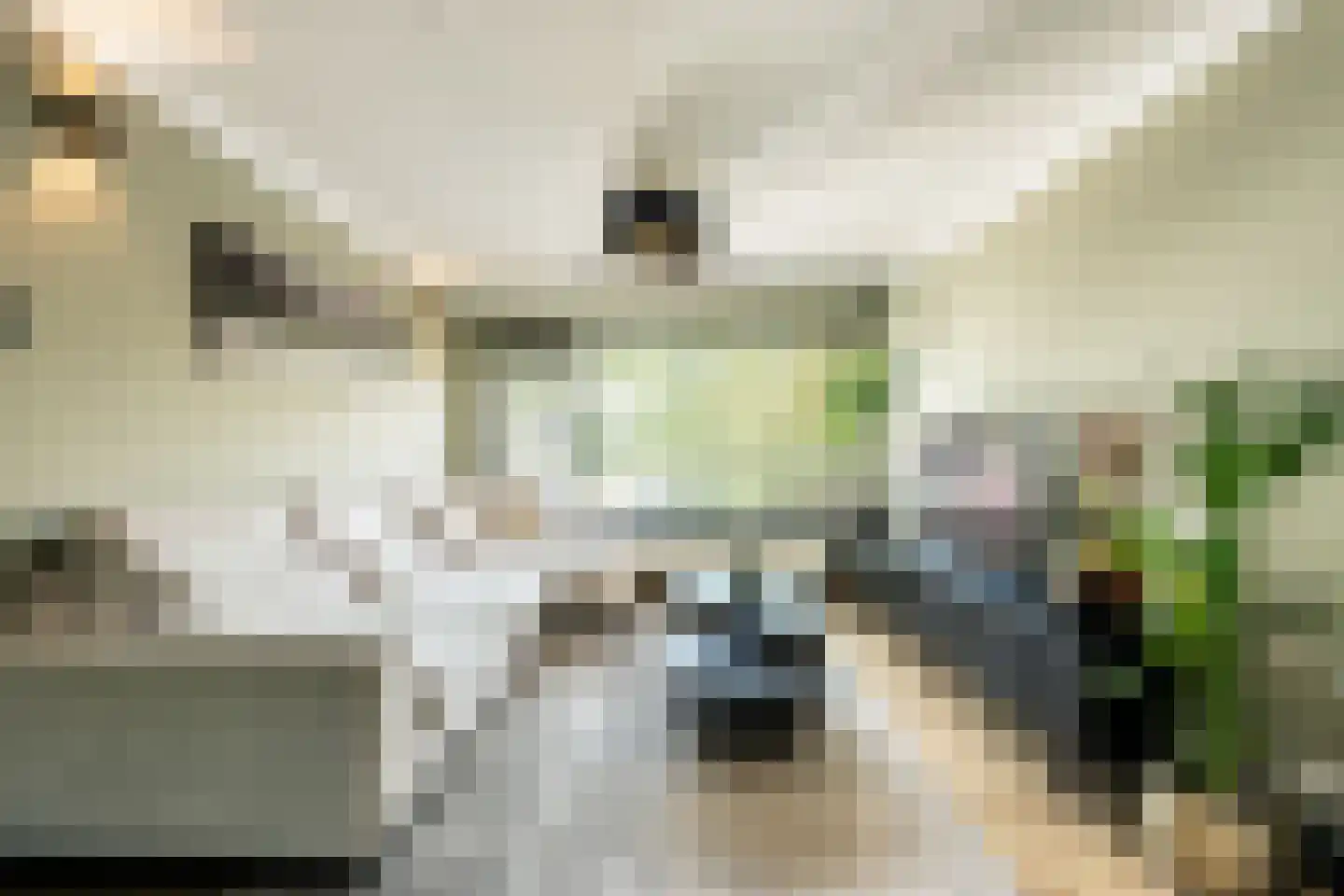 Jacob van den Eyndestraat 49 Voorburg thumbnail 5