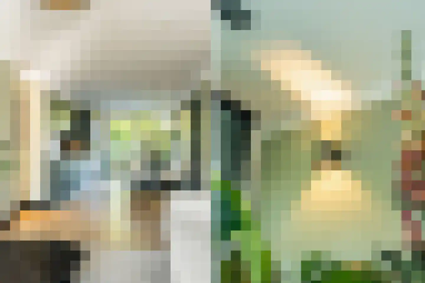 Jacob van den Eyndestraat 49 Voorburg thumbnail 7