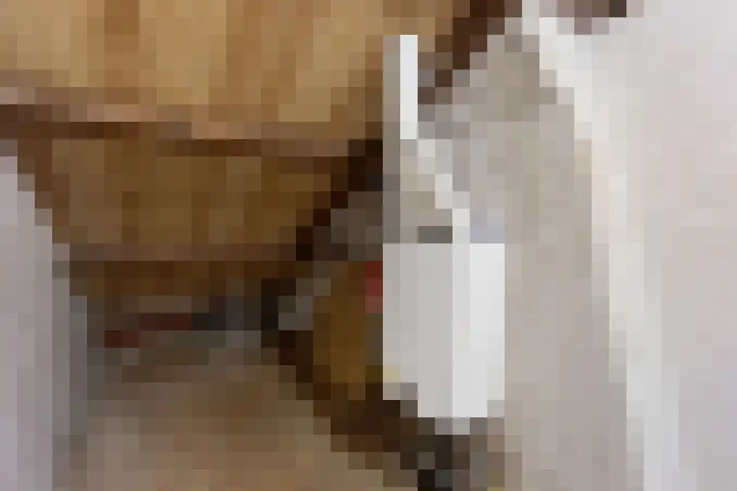 Jacob van den Eyndestraat 67 Voorburg thumbnail 38