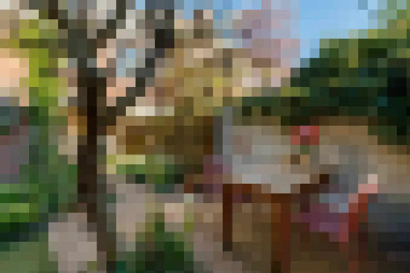 Jacob van der Borchstraat 37 Utrecht thumbnail 20