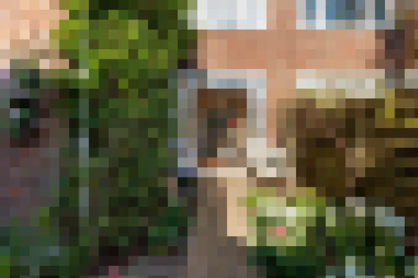 Jacob van der Borchstraat 37 Utrecht thumbnail 21