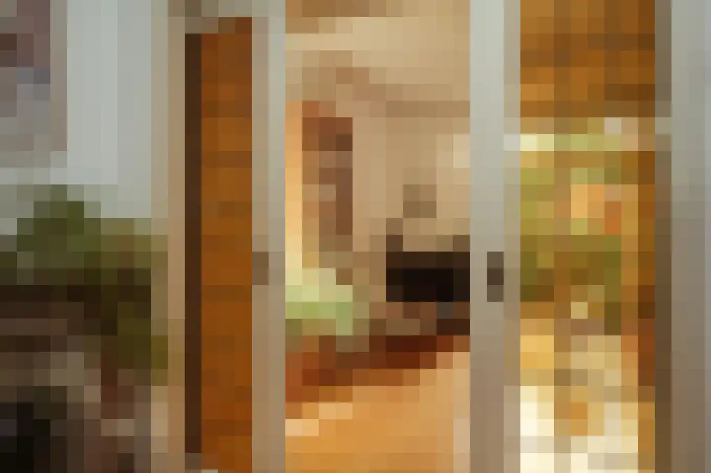 Jacob van der Borchstraat 57 Utrecht thumbnail 12