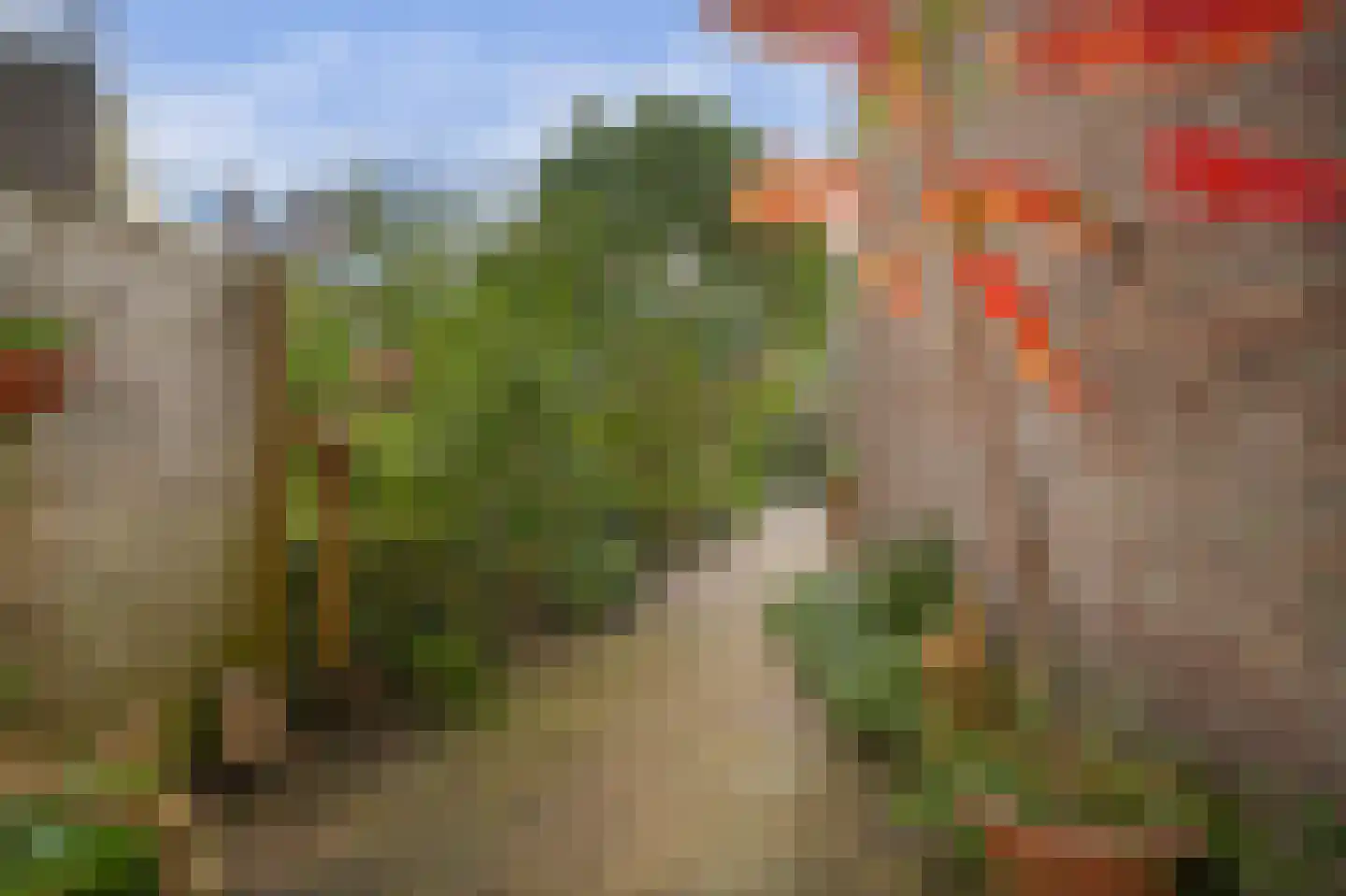 Jacob van der Borchstraat 57 Utrecht thumbnail 20