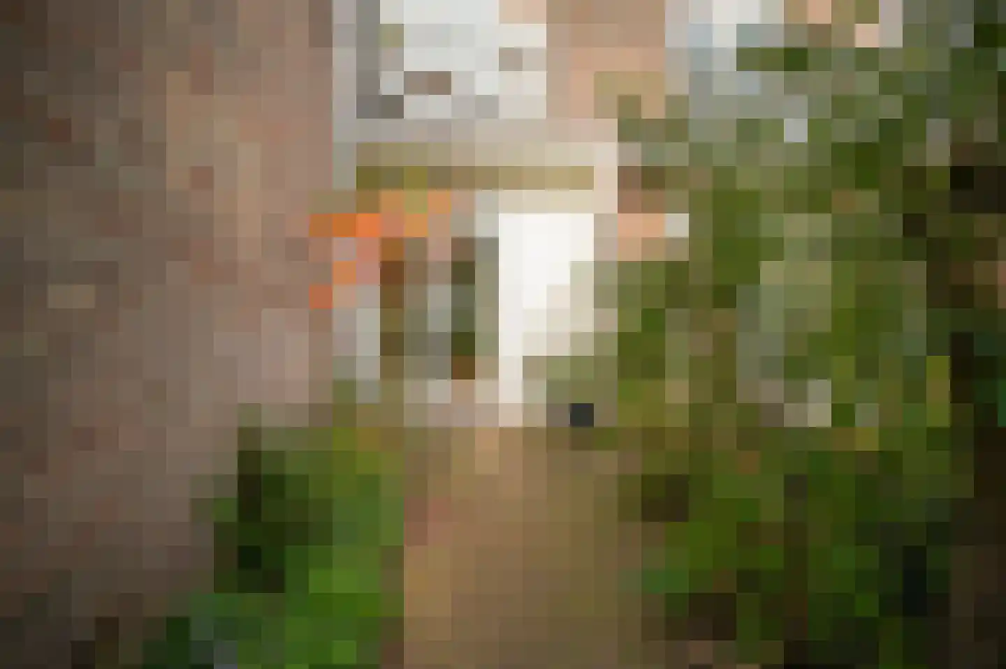 Jacob van der Borchstraat 57 Utrecht thumbnail 21