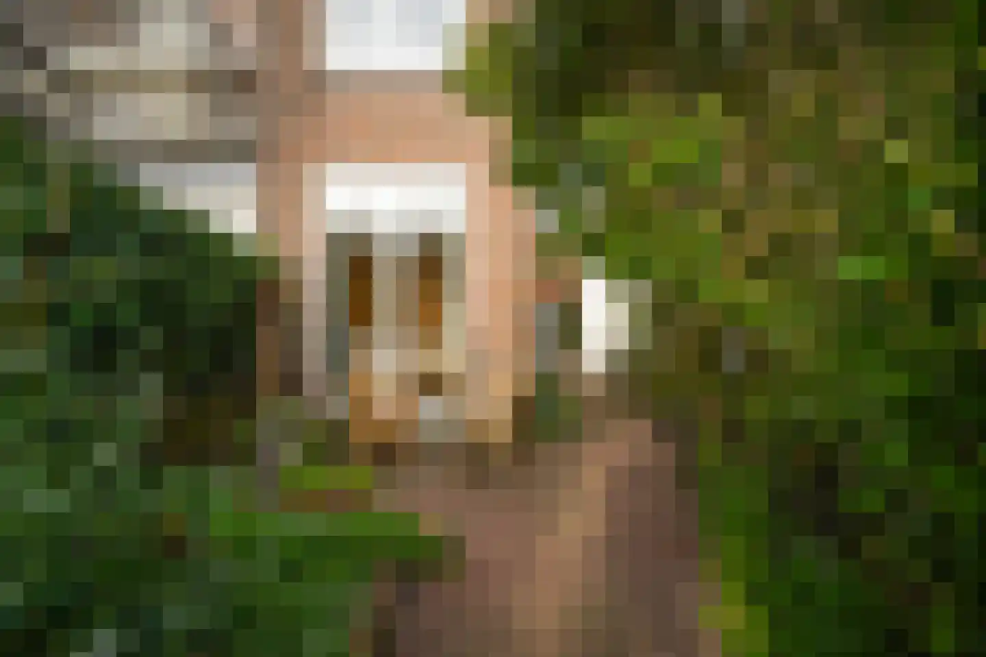 Jacob van der Borchstraat 57 Utrecht thumbnail 22