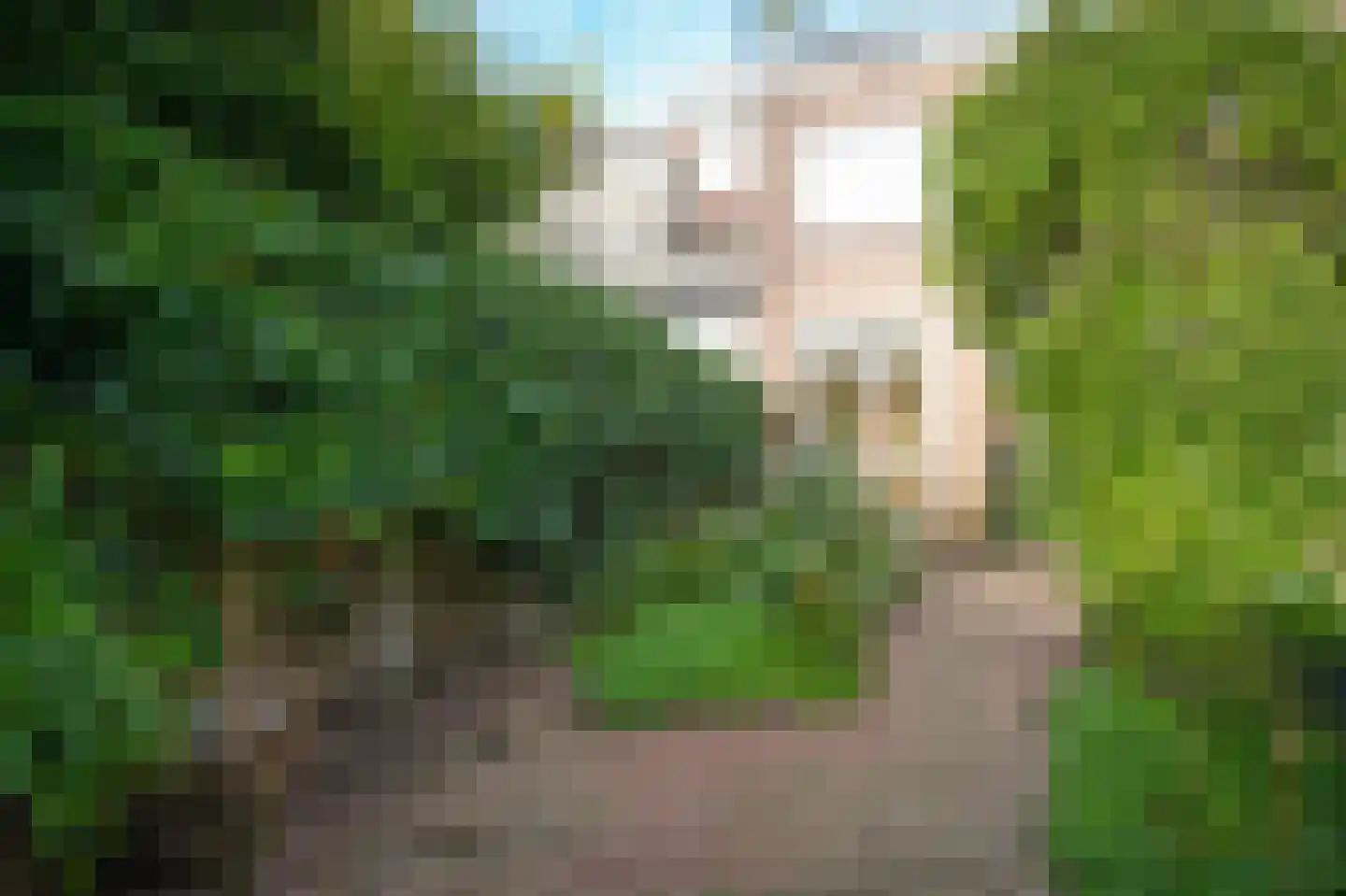 Jacob van der Borchstraat 57 Utrecht thumbnail 25