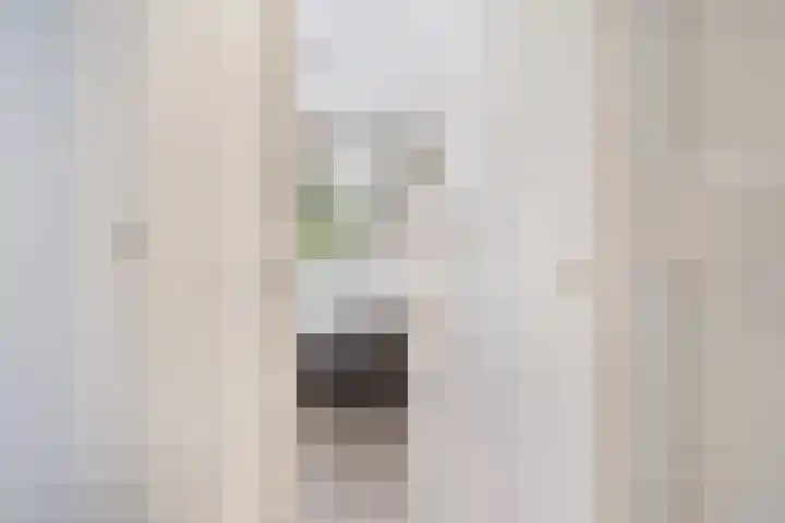 Jacob van der Borchstraat 63 Utrecht thumbnail 18