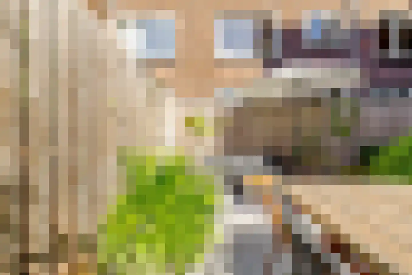 Jacob van der Borchstraat 70 Utrecht thumbnail 36