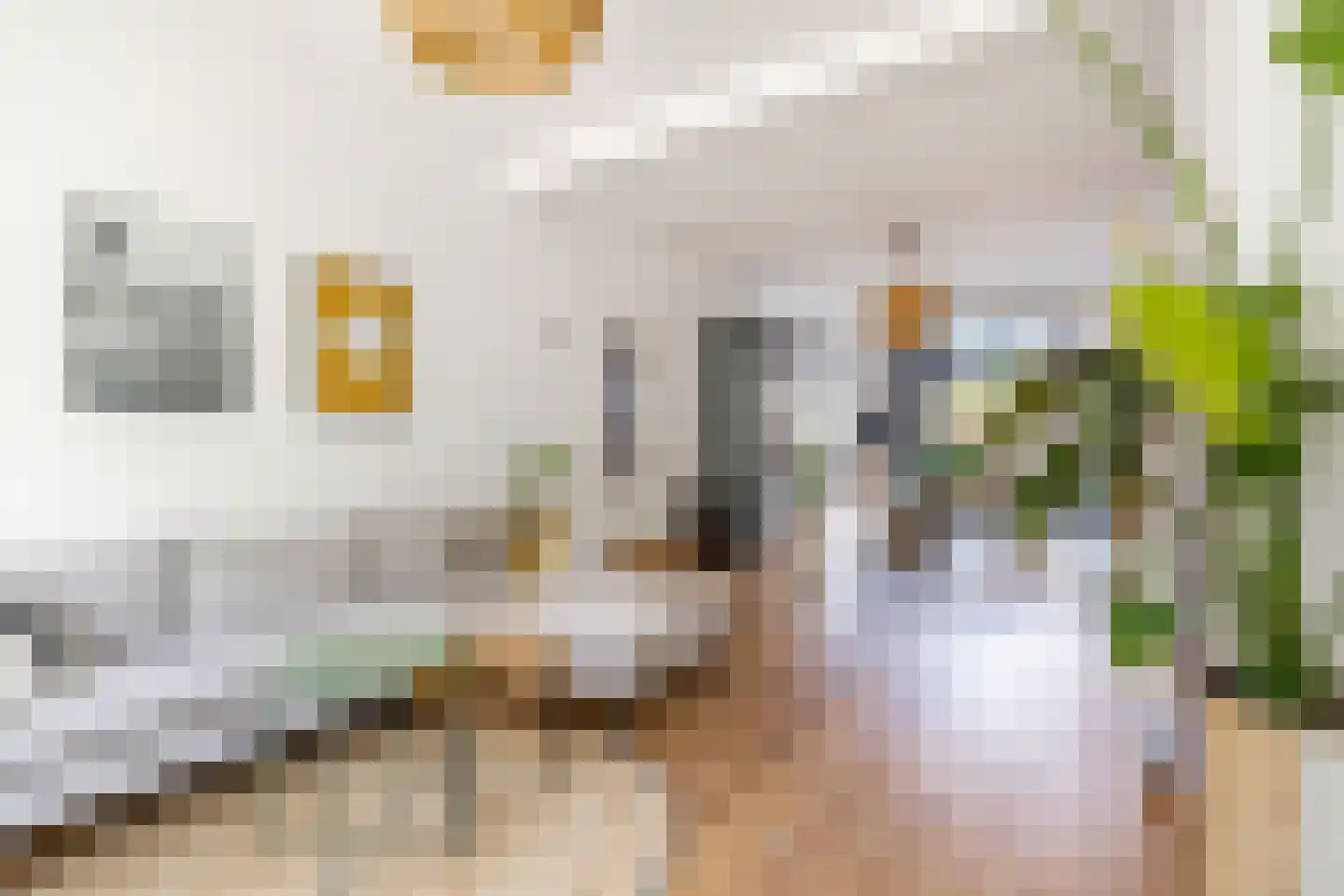 Jacob van der Borchstraat 70 Utrecht thumbnail 9