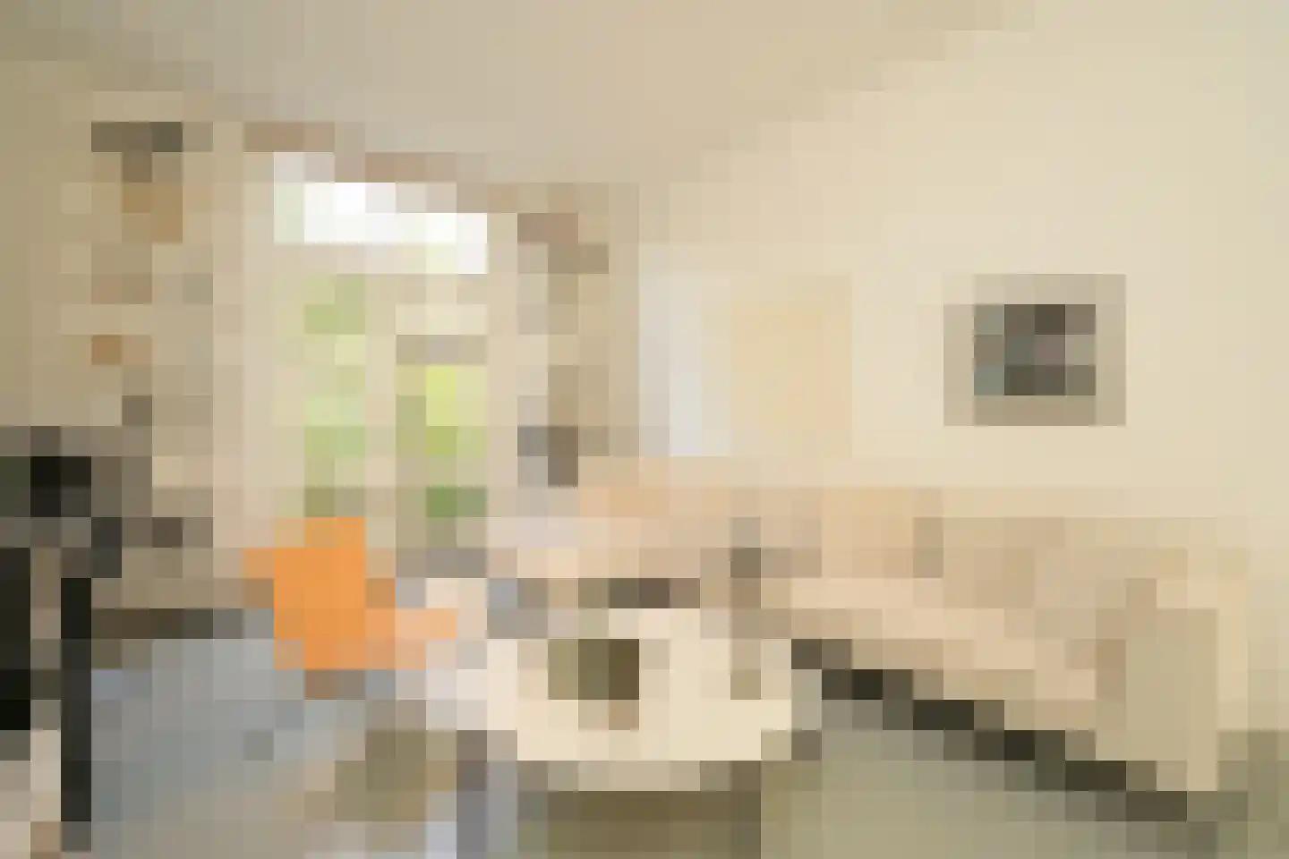 Jacob van der Doesstraat 35 Den Haag thumbnail 13