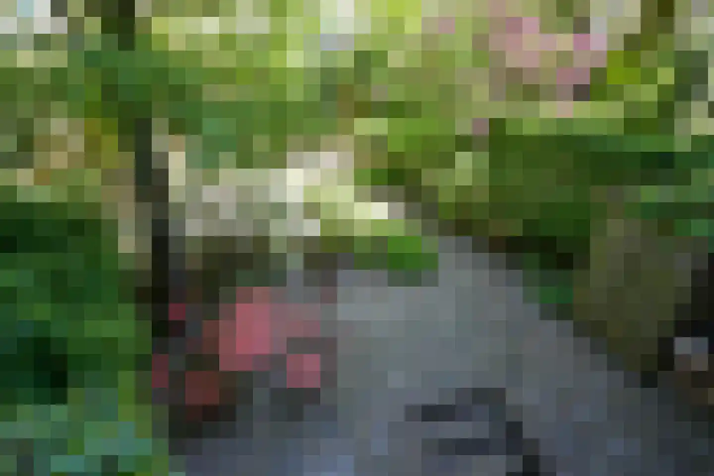 Jacob van der Doesstraat 35 Den Haag thumbnail 16