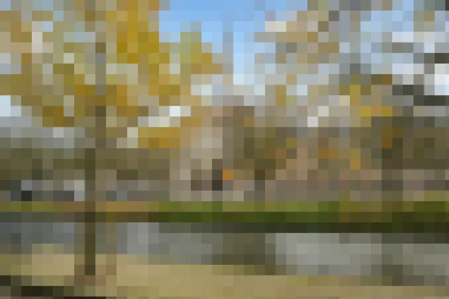 Jacob van der Doesstraat 35 Den Haag thumbnail 47