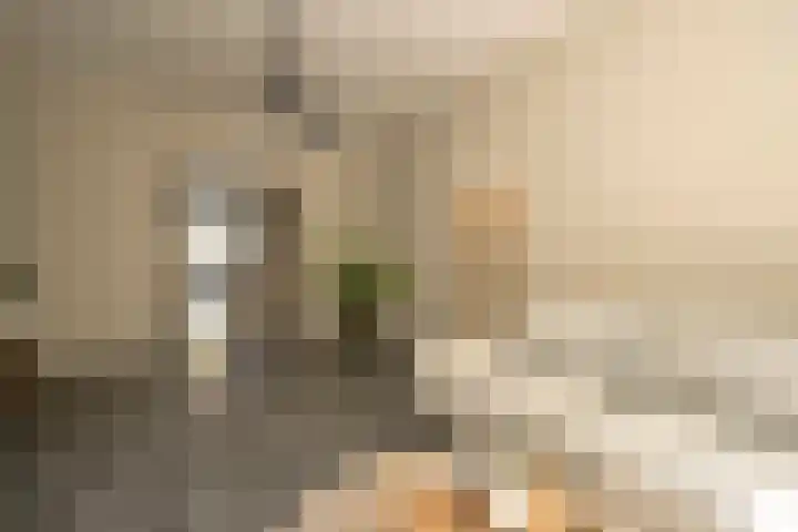 Jacob van der Doesstraat 63 Den Haag thumbnail 6