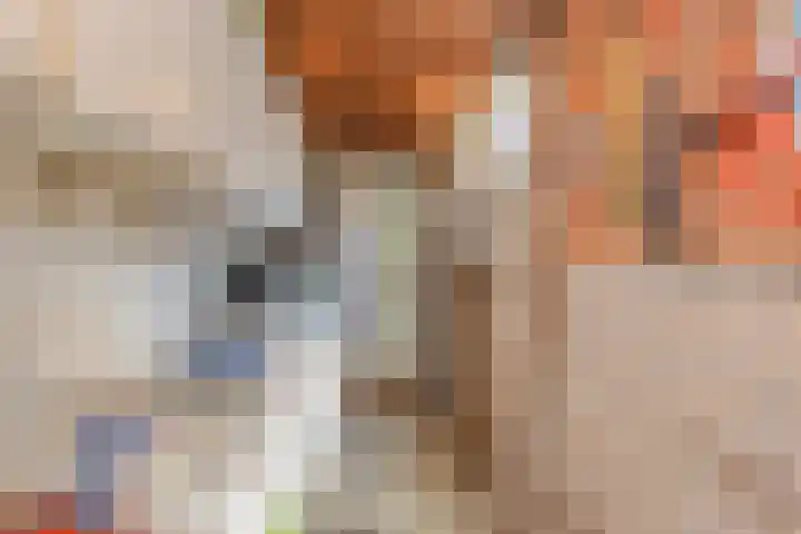 Jacob van der Wielelaan 30 Rijswijk thumbnail 14