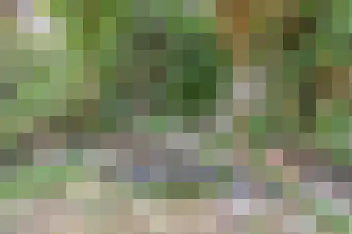 Jacob van der Wielelaan 30 Rijswijk thumbnail 17